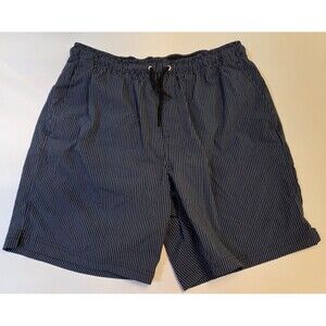 Everlane ReNew Swim Shorts Mens Large Blue Stripe Elastic Waist Drawstring Lined